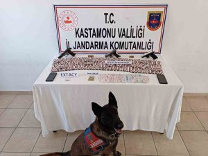 İ̇stanbul’dan Kastamonu’ya Uyuşturucu Getiren İki Şüpheli Yakalandı