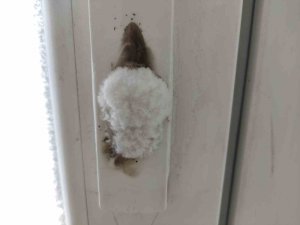 Göle’de Dondurucu Soğuklar Hüküm Sürüyor, Kapı Kilitleri Bile Buz Tuttu