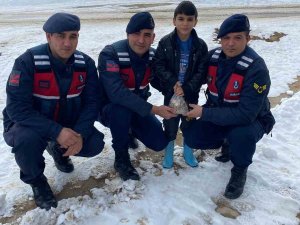 Devriye Gezen Jandarmayı Durdurup Depremzedeler İçin Kumbarasındaki Parasını Verdi