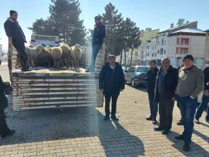 Depremzedeler İçin 120 Hayvan Kestirdiler