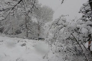 Rize'de kar nedeniyle 281, Doğu Karadeniz’de bin 210 köy ve mahalle yolu kapandı