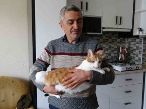 Rüyasına Girdi, Depremde Mahsur Kalan Kedisini Canı Pahasına Kurtardı