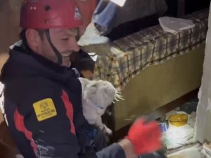 Konya İtfaiyesi Depremden 11 Gün Sonra Ağır Hasarlı Binada Kalan Kediyi Kurtardı