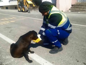 Nerede Bir Can Varsa, Orada Bursa Var