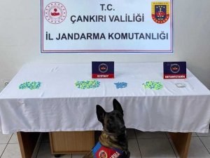 Çankırı’da Uyuşturucu Operasyonunda Bir Şahıs Tutuklandı