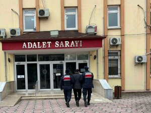 17 Yıl Hapis Cezasıyla Aranan Şahıs Jandarma Operasyonuyla Yakalandı