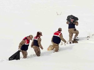 Jandarma Ekipleri Doğaya Yiyecek Bıraktı