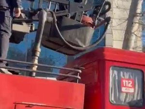Kahramanmaraş’ta Depremde Hasar Gören Binada Mahsur Kalan Kedi Kurtarıldı