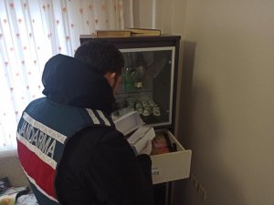800 Bin Liralık Vurgun Yapan Telefon Dolandırıcıları Yakalandı