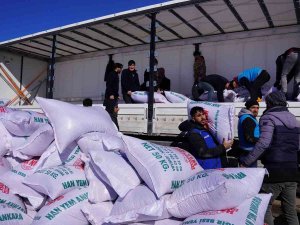 Muş Valiliğinden Depremzede Besicilere 250 Ton Yem Desteği