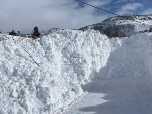 Posof’ta Kar Köy Yollarını Kapattı