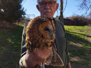 Bahçe Tellerinde Bulduğu Yaralı Baykuşu Tedavi Etti