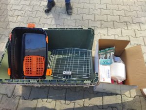 Tepebaşı Belediyesi’nden Organize Patilerin Kampanyasına Destek