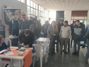 Ayvacık Ziraat Odası’nda Seçim Heyecanı