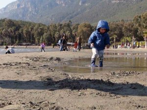 Akyaka’da Ürküten Deniz Suyu Çekilmesi 50 Metreye Ulaştı
