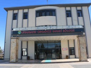 Diyarbakır Kendi Yaralarını Unuttu, Depremin Vurduğu Diğer İller İçin Seferber Oldu