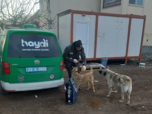 Haydi̇, Deprem Bölgesindeki Can Dostlarını Yalnız Bırakmadı