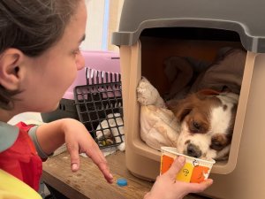 Depremde Kaybolan Köpeklerini Gören Aile Gözyaşlarına Hakim Olamadı