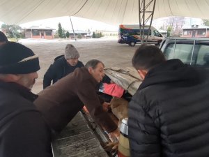 Artvin’de Vatandaşların Bitkin Halde Bulduğu Karaca Görevlilere Teslim Edildi