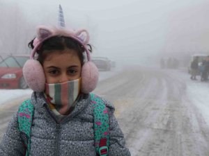Erzincan’da Sis, Kar Ve Soğuk Hava Etkili Oldu