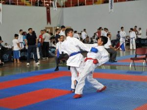 Karadeniz Ve Hazar Ülkeleri Karate Şampiyonası Sona Erdi