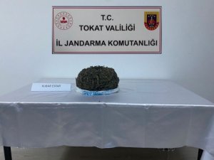 Tokat’ta 1 Kilo 180 Gram Kubar Esrar Ele Geçirildi