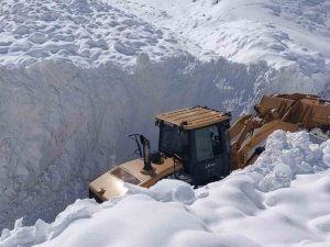Çatak’ta Çığ Düştü: 9 Yerleşim Yerinin Yolu Kapandı