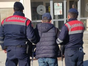 Aranan Şahıslar Jandarmaya Takıldı