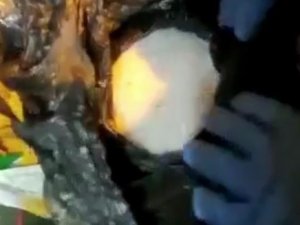 Tekirdağ’da Uyuşturucu Operasyonu