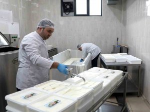 Kayü Bağışçılardan Temin Ettiği Sütü Peynir Yaparak Depremzedelere Gönderdi