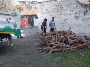 Manisa’da Budanan Ağaçlar Depremzedeleri Isıtacak