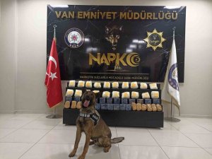 ‘Juno’nun Katıldığı Operasyonda 37 Kilo 600 Gram Uyuşturucu Ele Geçirildi