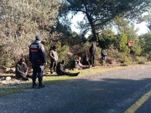 Jandarma Düzensiz Göçmenleri Sazlık Alanda Yakaladı