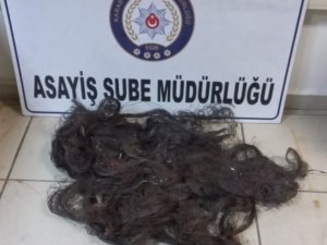 Kablo Çalan Şahıs Yakalandı