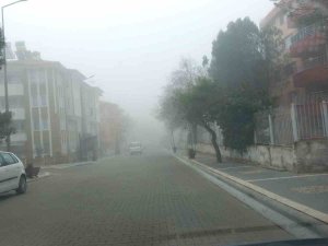 Muğla’da Sis Nedeniyle Görüş Mesafesi 5 Metreye Düştü