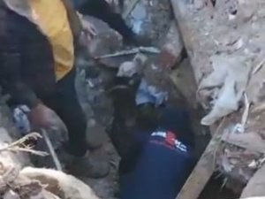 Enkaz Altından Çıkartılan 14 Günlük Buzağı Koruma Altına Alındı