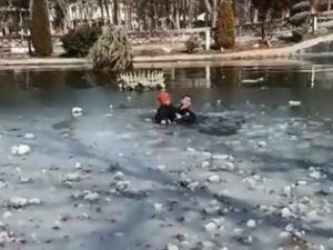 Gölete Düşen Depremzede Çocuğu Polis Kurtardı