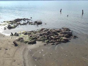 Erdek’te Deniz Çekildi, Antik Liman Ortaya Çıktı