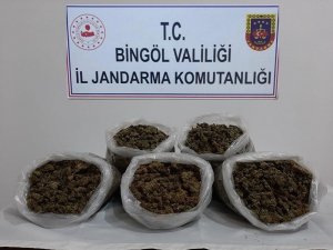 Bingöl’de 3 Kilo Esrar Ele Geçirildi: 2 Gözaltı