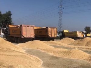 Siirt’ten Giden Ekip Hatay’da Şantiye Kurdu
