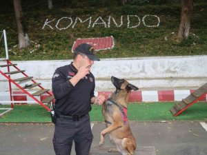 Jandarmanın Hassas Burnu "Şila" Kanserden Hayatını Kaybetti