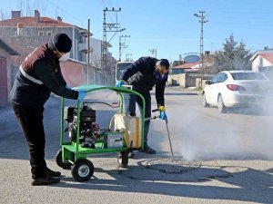 Van Büyükşehir Belediyesi Vektörle Mücadelenin Startını Verdi