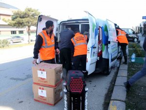 Büyükşehir Enkazdan Kurtarılan Can Dostlara Şifa Olacak