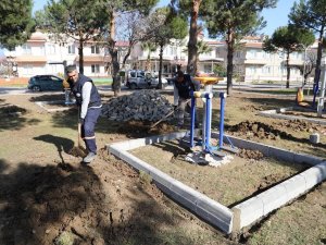 Burhaniye’de Talip Apaydın Çamlığı Yenileniyor