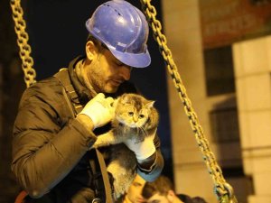 Bina Enkazının Yıkımı Durduruldu, "Zena" İsimli Kedi Kurtarıldı