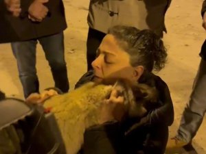 Diyarbakır’da 17 Gündür Enkazda Olan 2 Kedi Kurtarıldı