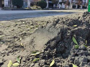 Deniz Kumu Sanıldı, Kılcal Damarlardan Yüzeye Çıkan Sitrik Kil Olduğu Anlaşıldı