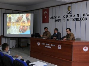 Bolu’da Arıcılık Kursu Başladı