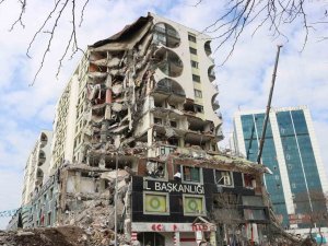 Galeria İ̇ş Merkezinden Kurtarılan 7 Kediden 6’sı Sahibine Teslim Edildi