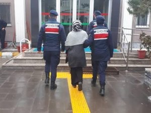 Fetö Firarisi Kadın Tutuklandı